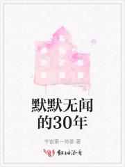 默默无闻的30年