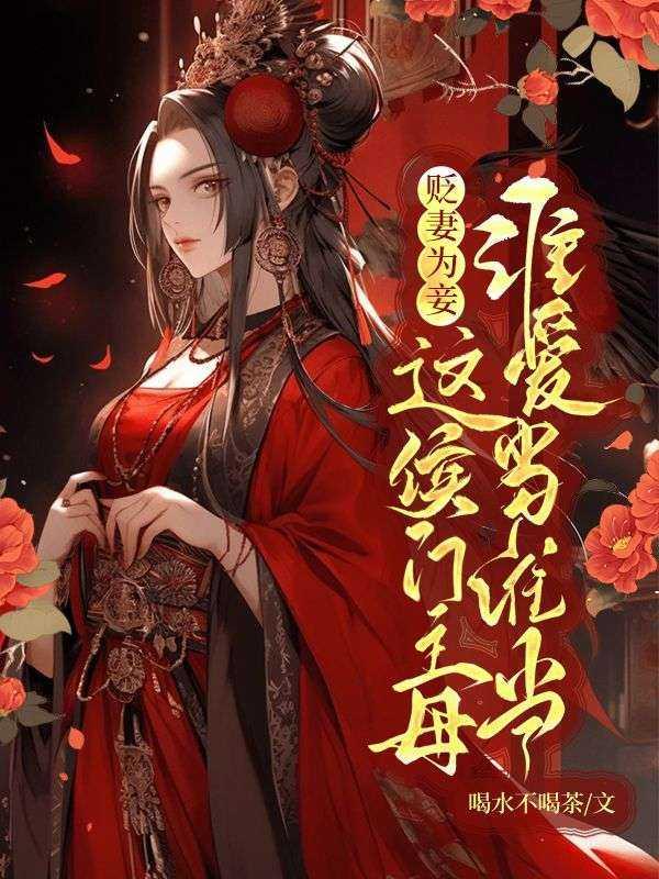 傅长风沈婉柔