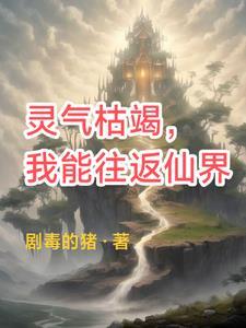 我是个兴趣使然的机甲师讲的什么