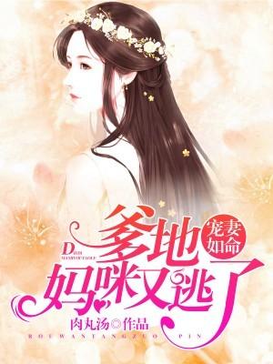 推理之王1：无证之罪