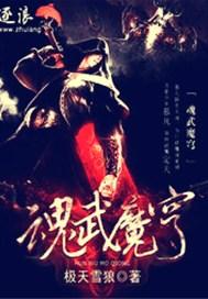 魂武魔穹